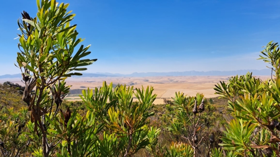 0 Bedroom Property for Sale in Caledon Rural Western Cape